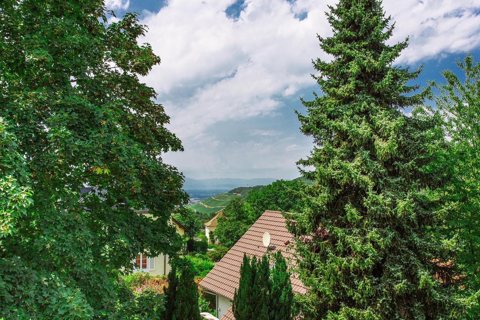 Apartment Am Tannenweg Badenweiler Eksteriør bilde